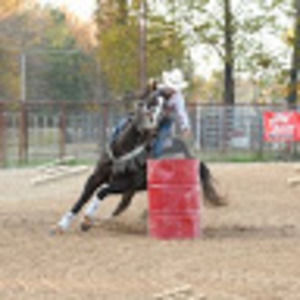 Meet your Posher, Addison